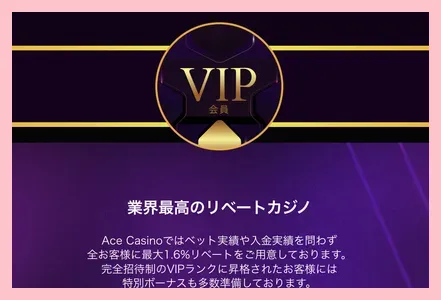 エースカジノのVIP
